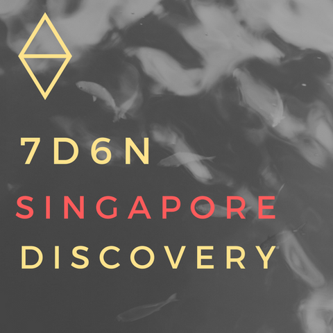 7D6N Singapore Discovery (Inbound) - High Achievers 2.0