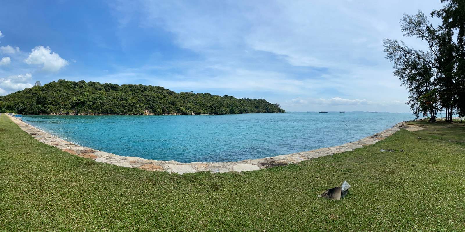 Discovering Singapore's Rich Marine Ecosystems: The Latest St John's Island Study Tour