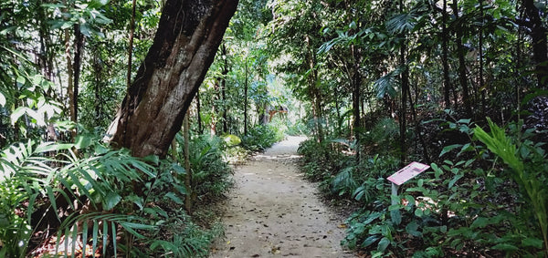 4 Attractions in Sentosa That Are Not USS (Great for Preschoolers ...