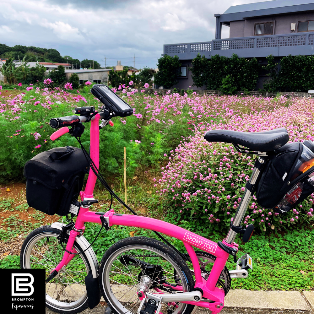 Japan Brompton Cycling - Okinawa 10 - 17 December 2025