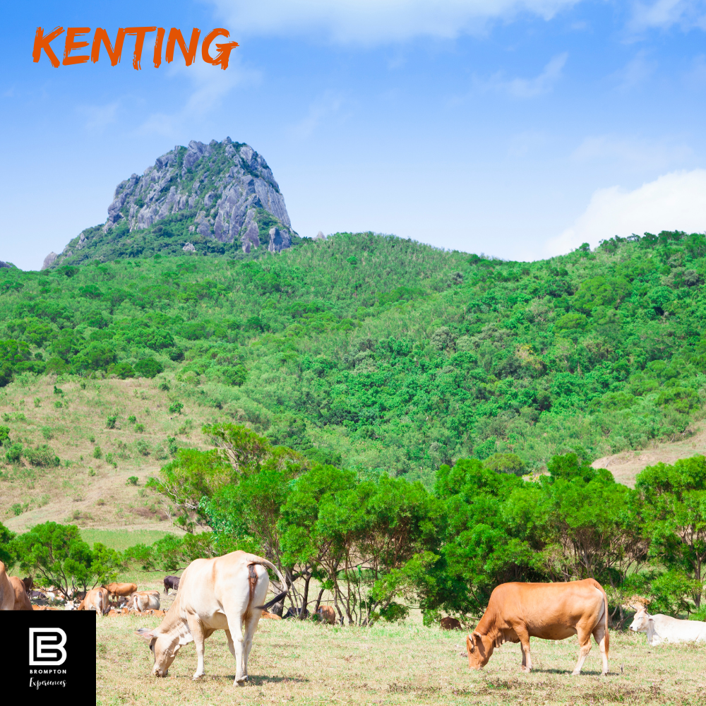 Taiwan Brompton Cycling Tour  - Kenting 2025