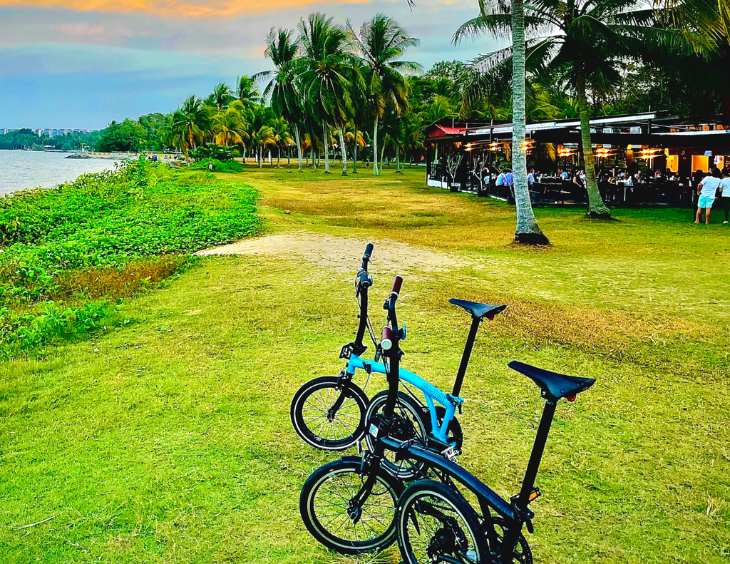 The Bus Collective (Pasir Ris > Punggol Urban Farm Tour)