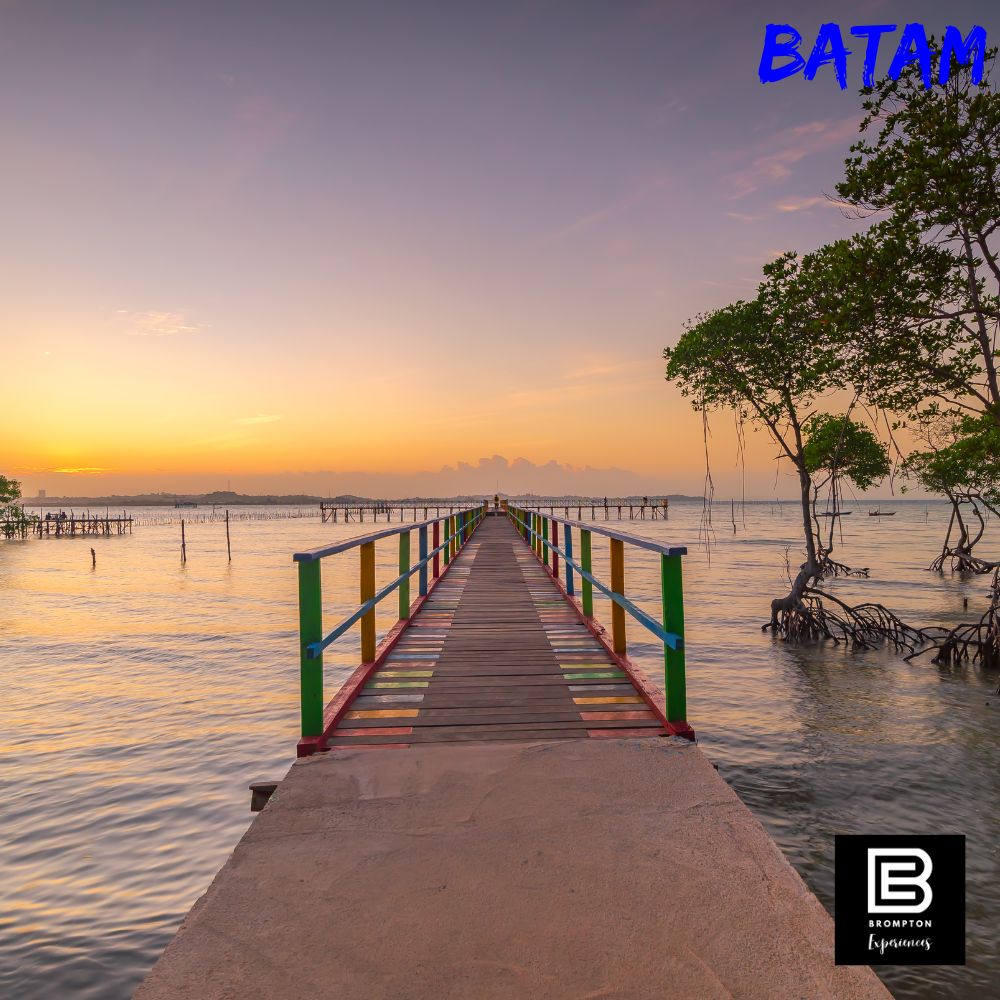 Batam Brompton Cycling Tour   August Slots Available