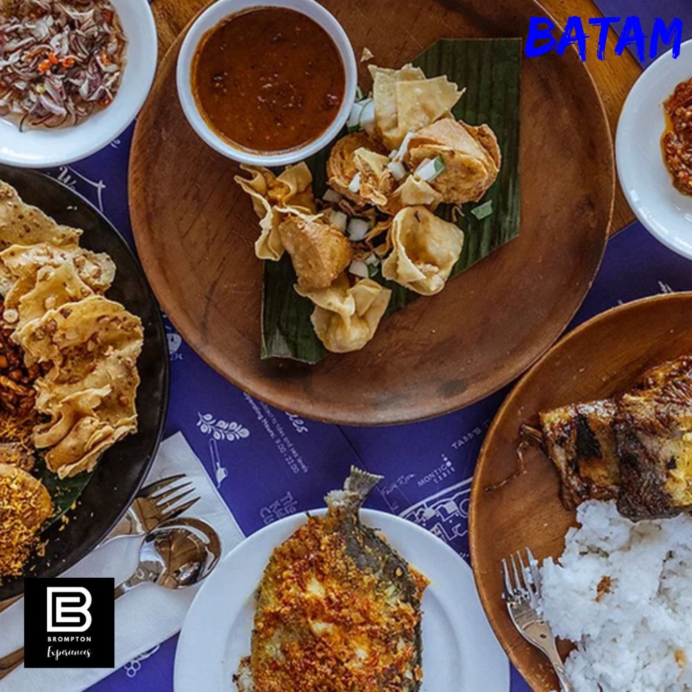 Batam Brompton Cycling Tour   August Slots Available