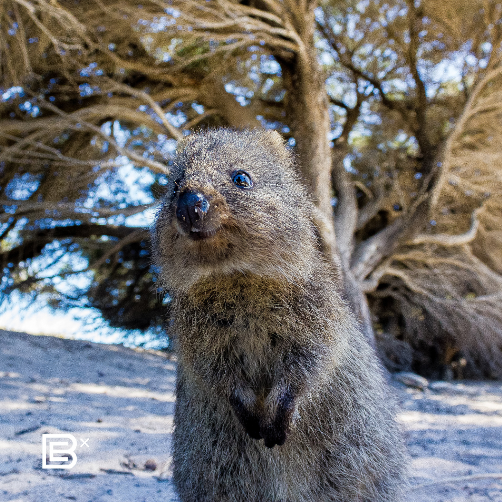 Australia Perth Cycling Recee Tour - (6D5N) 15 - 21 Sep 2026