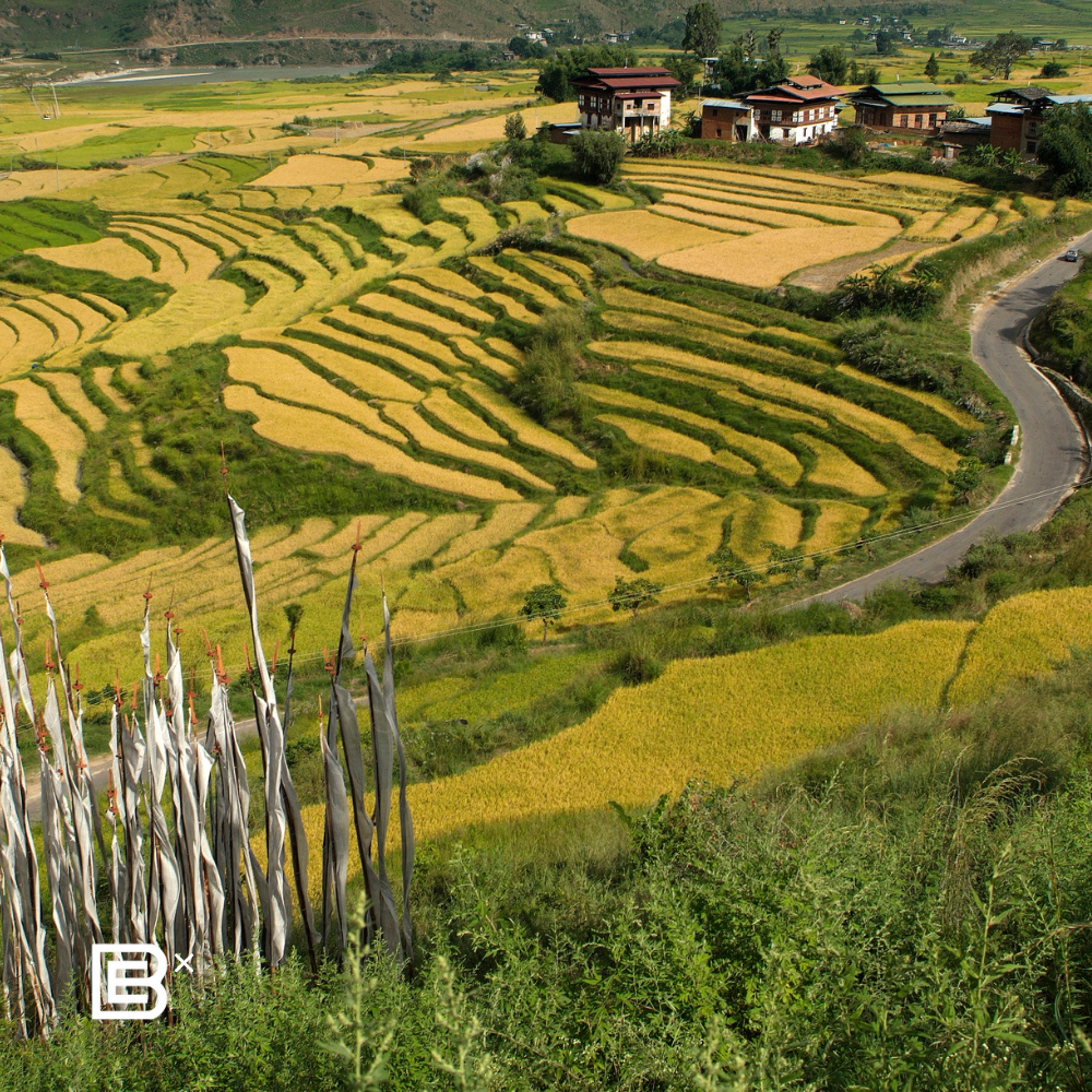Bhutan Brompton Cycling Tour - 15 - 21 Mar 2026