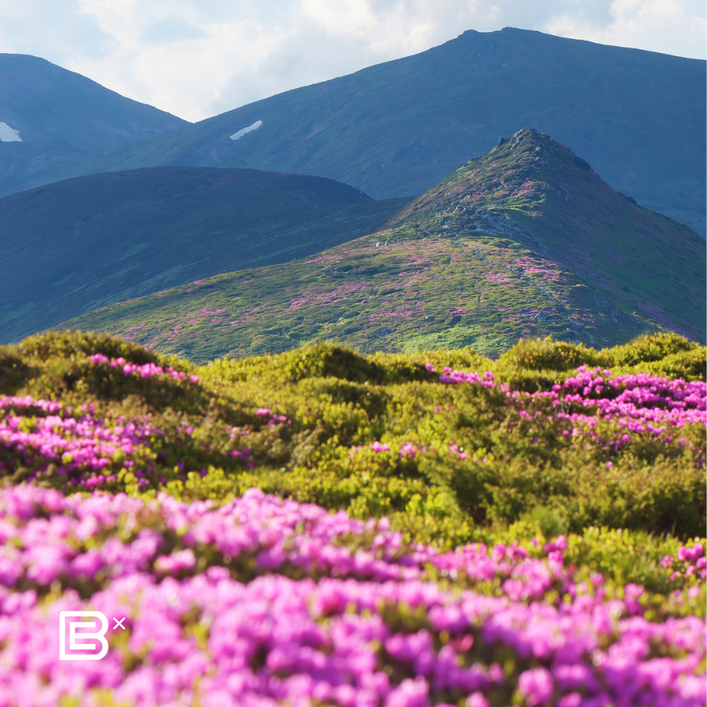 Bhutan Brompton Cycling Tour - 15 - 21 Mar 2026