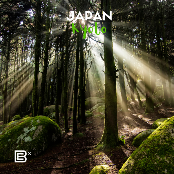 Japan Brompton cycling Tour - Greater Kyoto 6D5N 17 - 23 April 2026