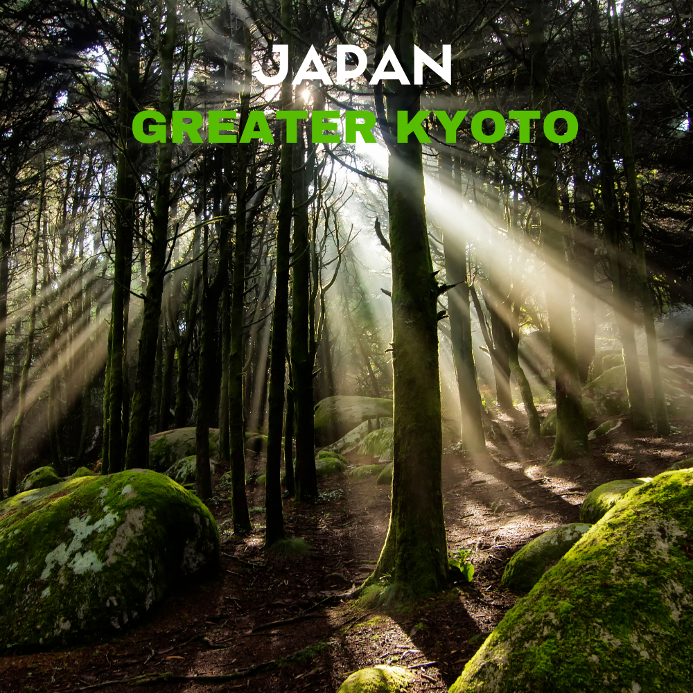 Japan Greater Kyoto cycling Tour - (7D6N) 14 - 20 Nov 2026