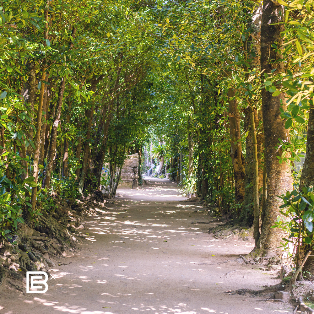 Japan Brompton Cycling - Okinawa 7D6N 2 - 8 December 2026