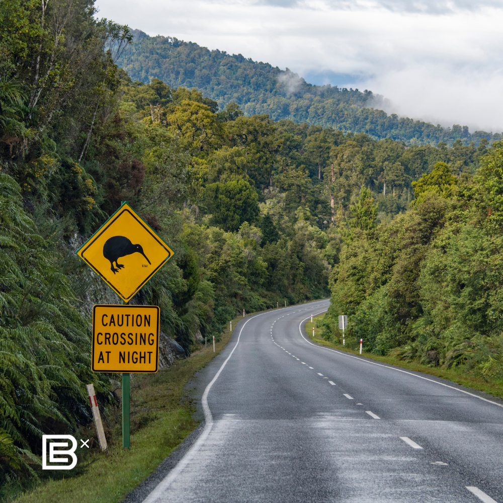 New Zealand Auckland Cycling Recee Tour - (8D7N) 21 - 28 Aug 2026