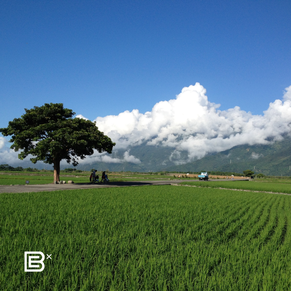 Taiwan Hsinchu Cycling Tour - (4D3N) 25 - 28 Feb 2027