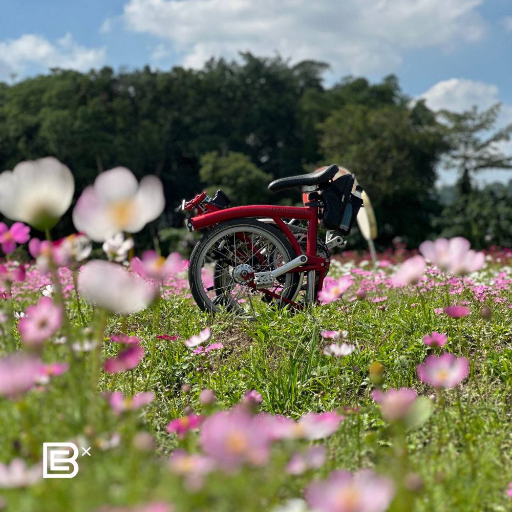 Taiwan Sun Moon Lake Cycling Tour - (8D7N) 21 - 26 Feb 2027