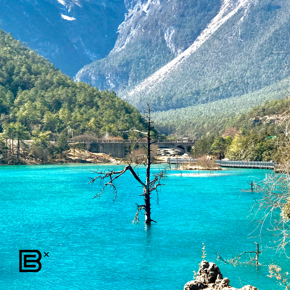 China Brompton Cycling Tour  - Kun Ming 10  - 14 Jan 2026