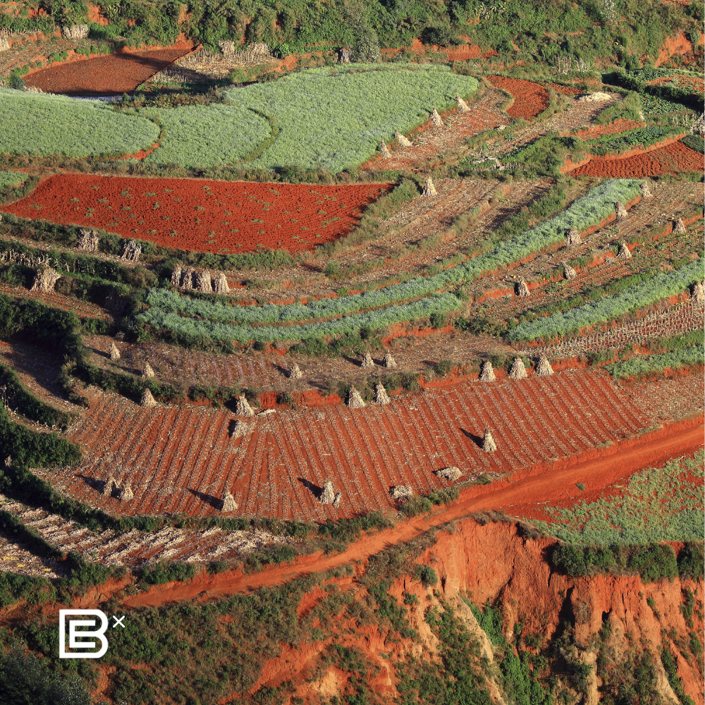 China Brompton Cycling Tour  - Kun Ming 10  - 14 Jan 2026