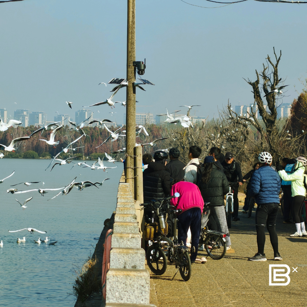 China Brompton Cycling Tour  - Kun Ming 6D5N 1 - 6 April 2026