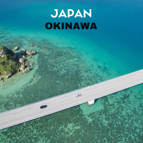 Japan Okinawa Cycling Tour - (7D6N) 2 - 8 December 2026