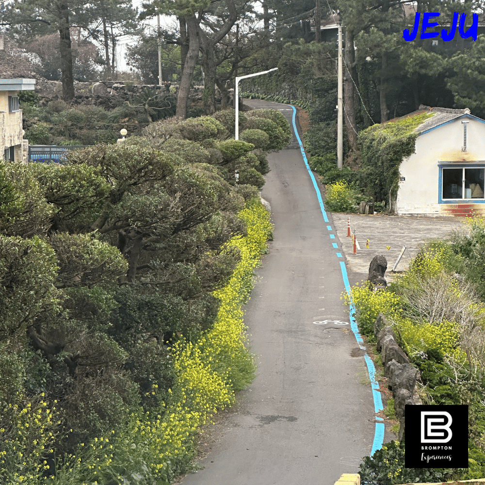 South Korea Brompton Cycling Tour - Jeju Island 14 - 19 Apr 2025