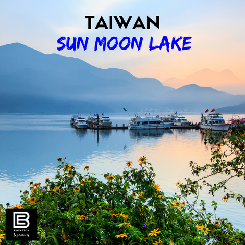Taiwan Brompton Cycling Tour  - Sun Moon Lake Nov 2024