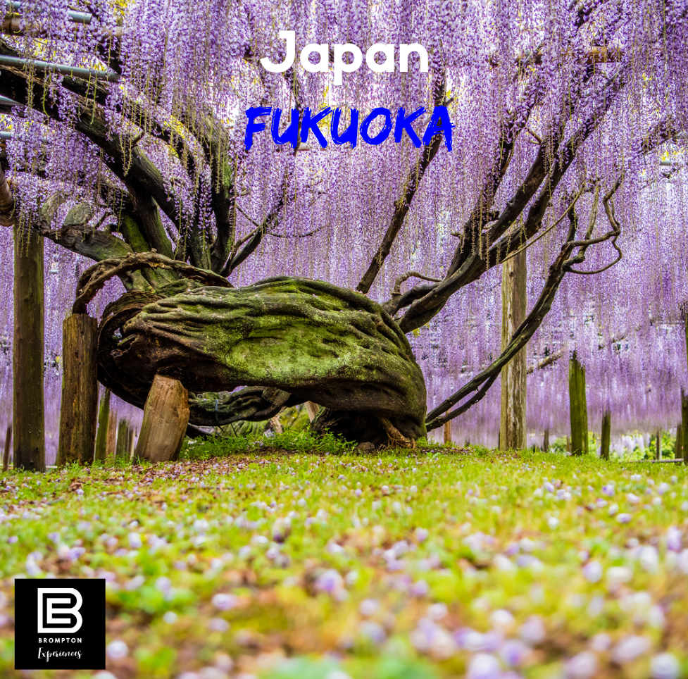 Japan Brompton Cycling Tour - Fukuoka Oct 2024