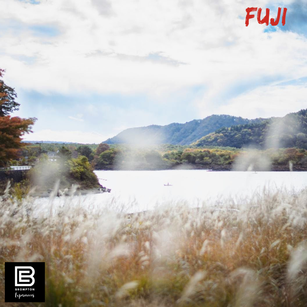 Japan Brompton Cycling Tour - Fuji 5 Lakes 17 - 23 May 2025