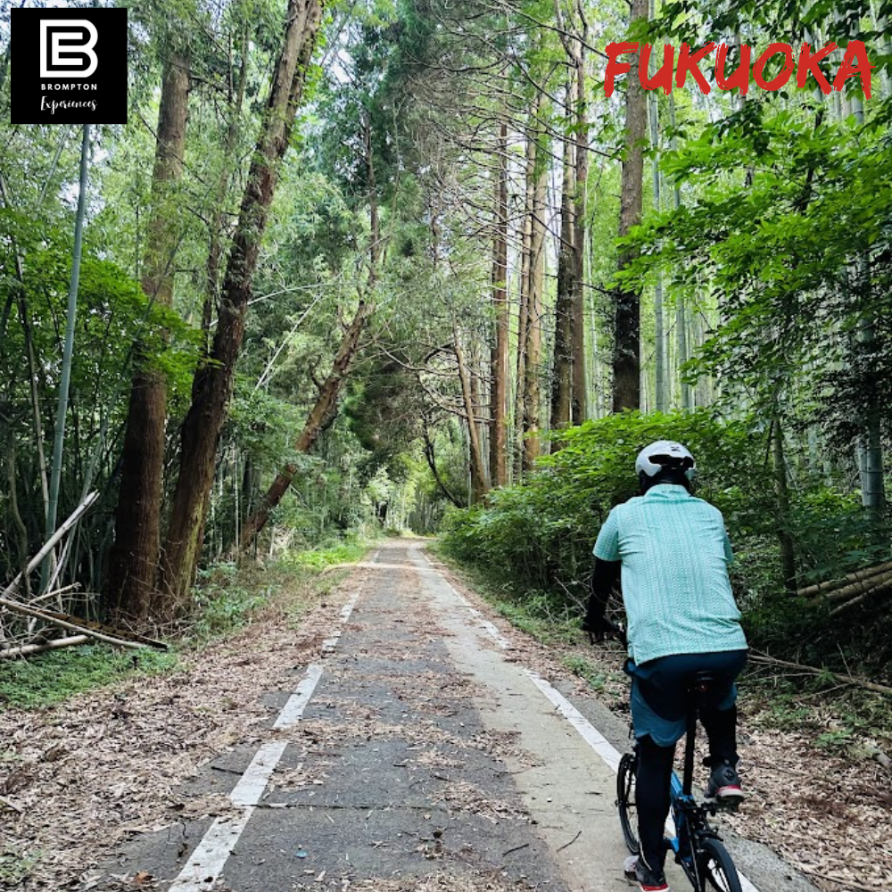 Japan Brompton Cycling Tour - Fukuoka Oct 2024