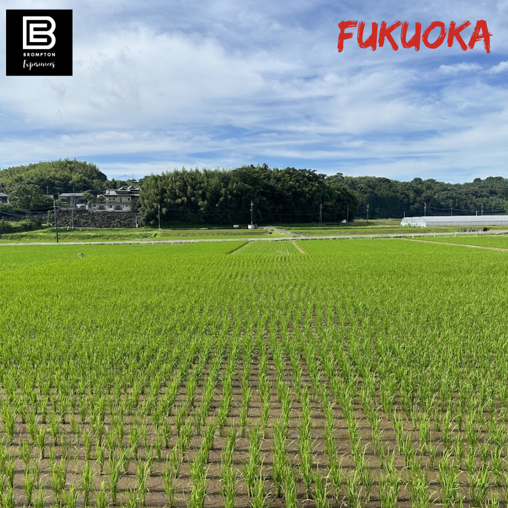 Japan Brompton Cycling Tour - Fukuoka Oct 2024