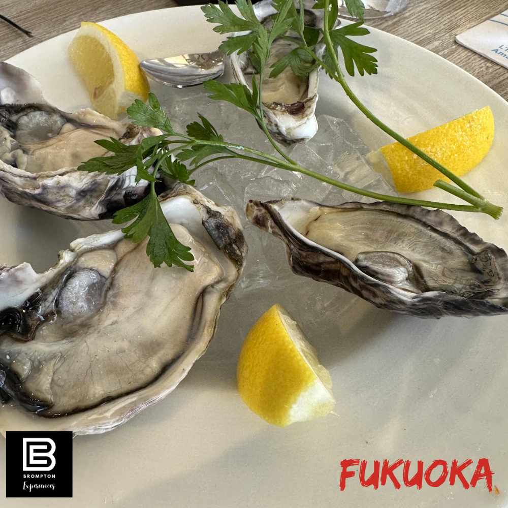 Japan Brompton Cycling Tour - Fukuoka Oct 2024