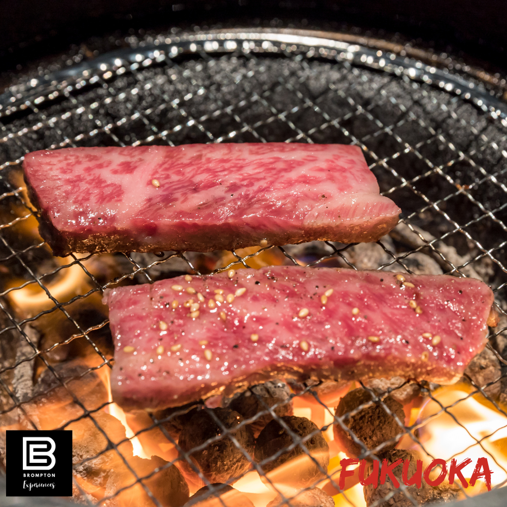 Japan Brompton Cycling Tour - Fukuoka Oct 2024