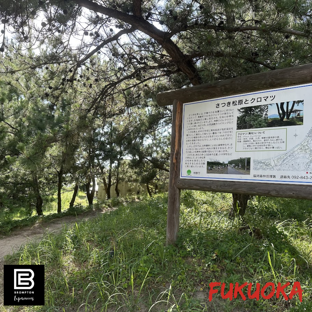 Japan Brompton Cycling Tour - Fukuoka Oct 2024