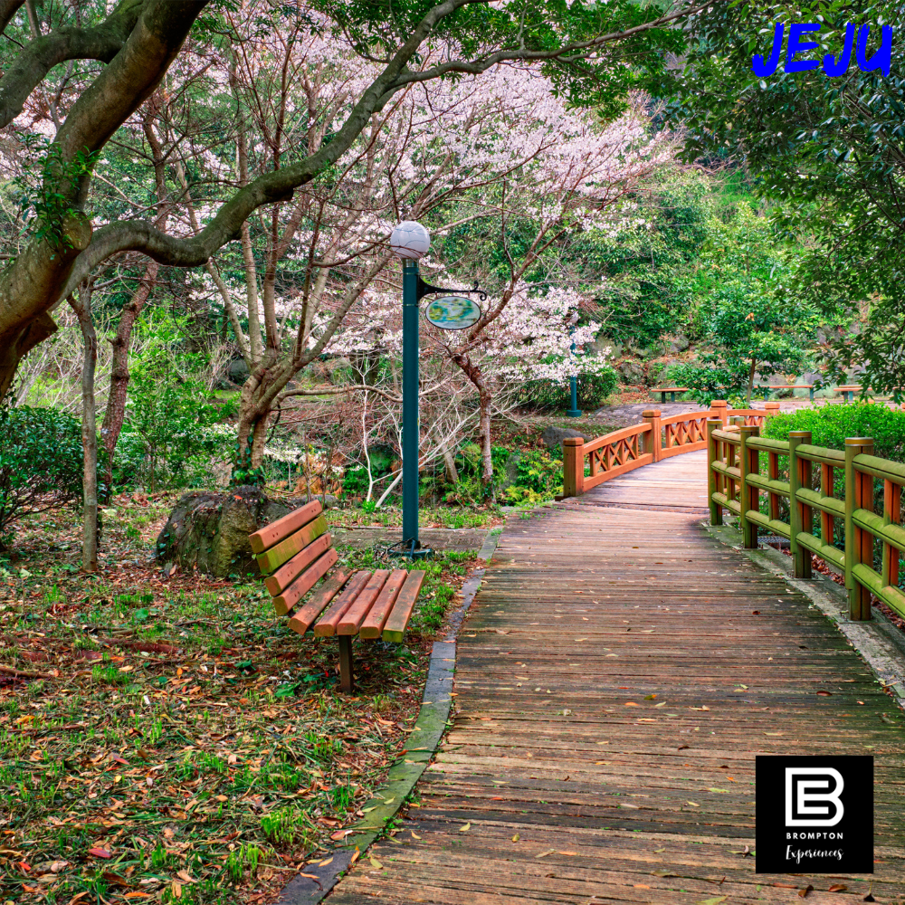 South Korea Brompton Cycling Tour - Jeju Island 14 - 19 Apr 2025
