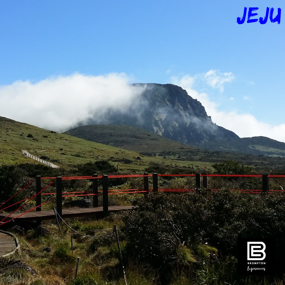 South Korea Brompton Cycling Tour - Jeju Island 14 - 19 Apr 2025