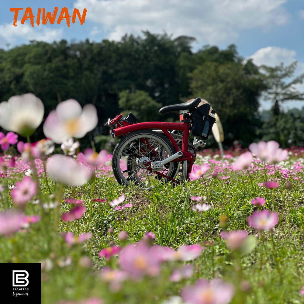 Taiwan Brompton Cycling Tour  - Sun Moon Lake Nov 2024