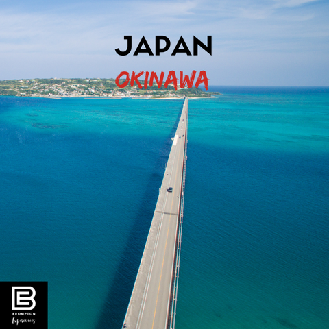 Japan Brompton Cycling - Okinawa 10 - 17 December 2025