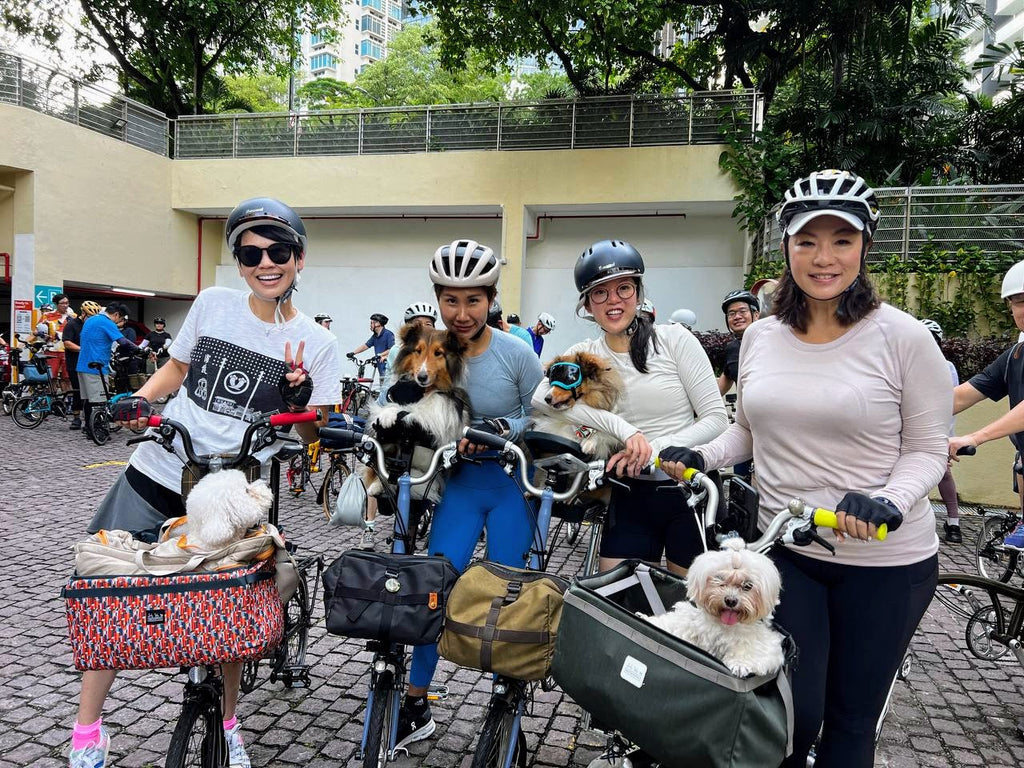 Coliwoo Orchard (Brompton City Ride)