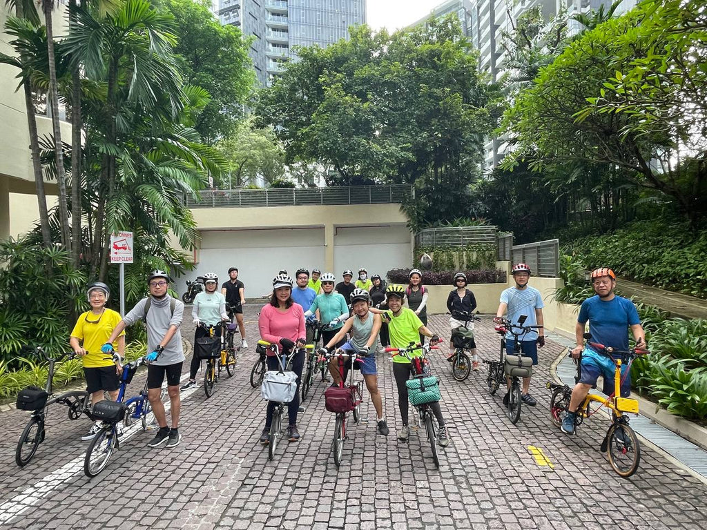 Coliwoo Orchard (Brompton City Ride)