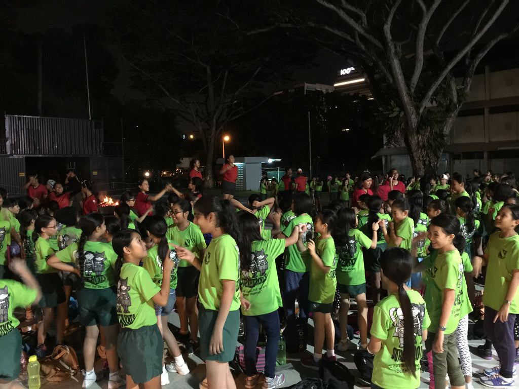 Big Camp Fire - High Achievers 2.0