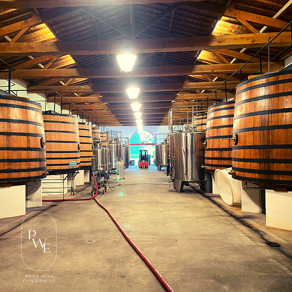 Luxury Wine & Golf Tour . Paris Burgundy & Rhone