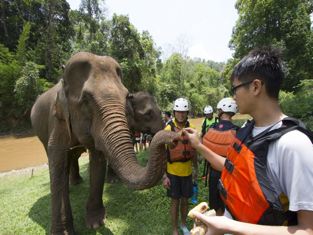 Chiang Mai Adventures - Overseas Program - Thailand - High Achievers
