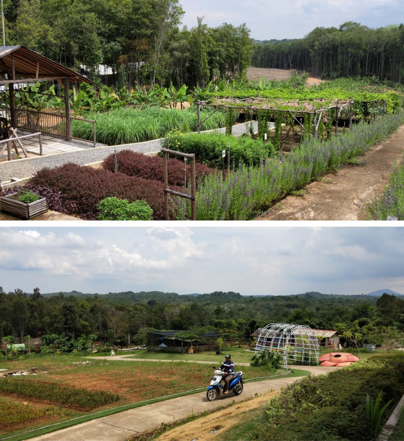 Bintan - Treasure Bay / The Canopi / Chill Cove