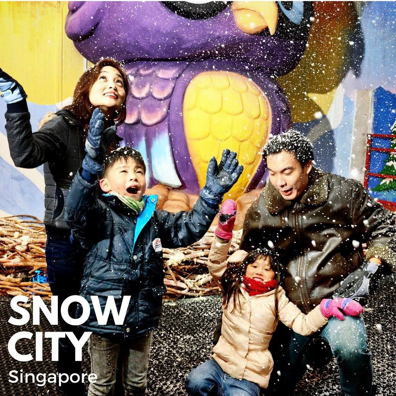 2D1N Dec Holidays Camp - The Arctic Odyssey (2017) - High Achievers 2.0