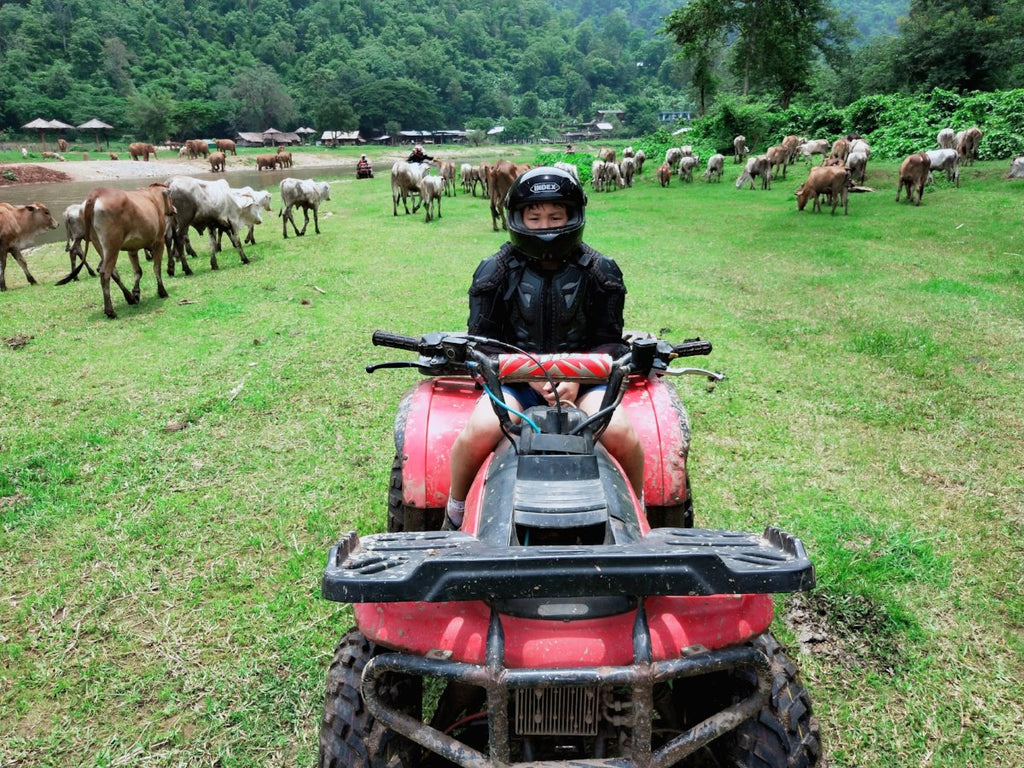 Chiang Mai Adventures - Overseas Program - Thailand - High Achievers