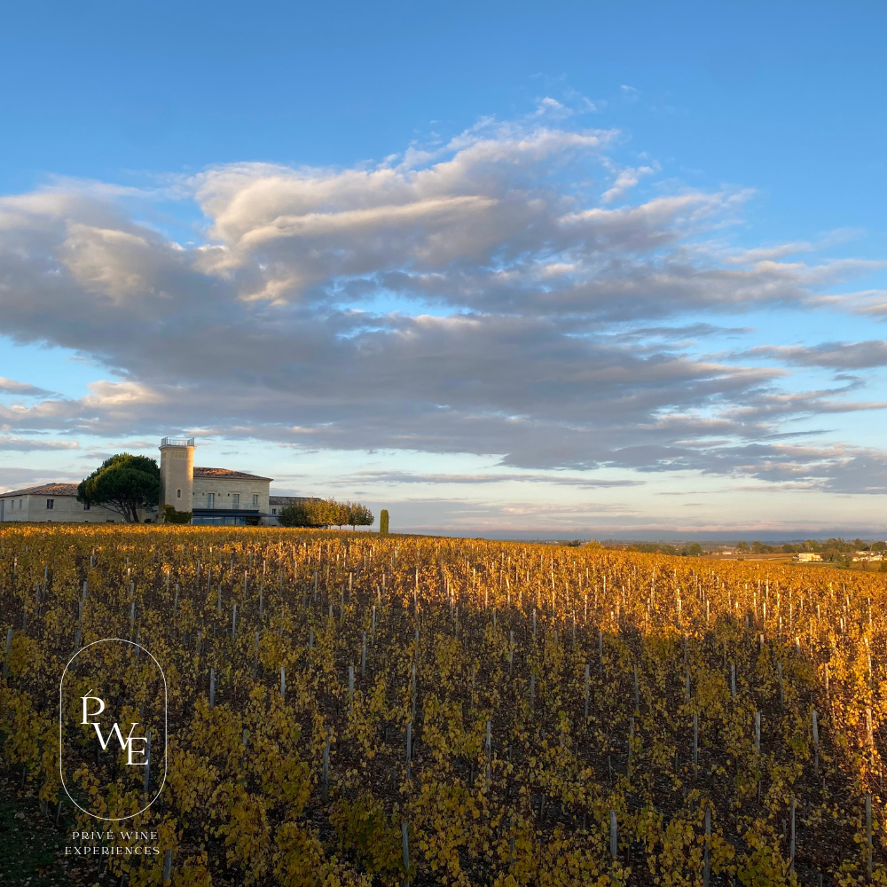 Luxury Wine & Golf Tour . Paris Burgundy & Rhone