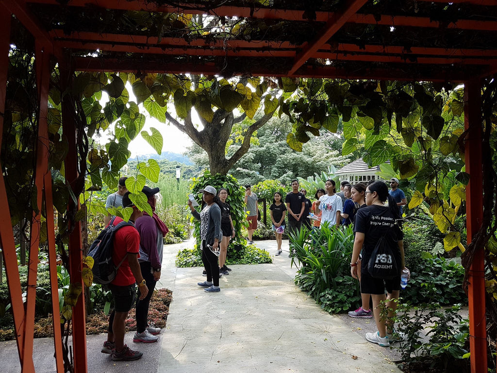 The Odyssey Program - High Achievers 2.0