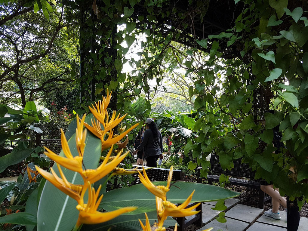 The Odyssey Program - High Achievers 2.0