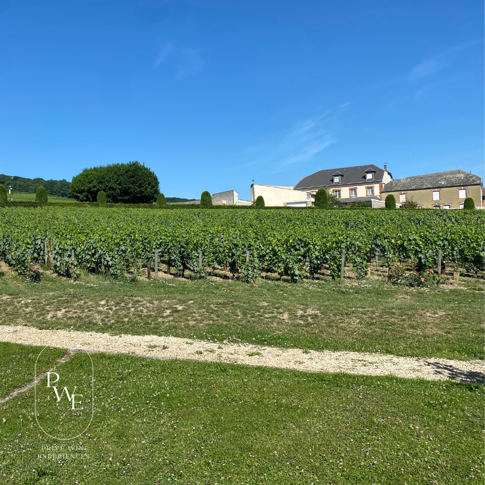 Luxury Wine & Golf Tour . Paris Burgundy & Rhone