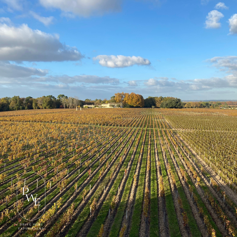 Luxury Wine & Golf Tour . Paris Burgundy & Rhone