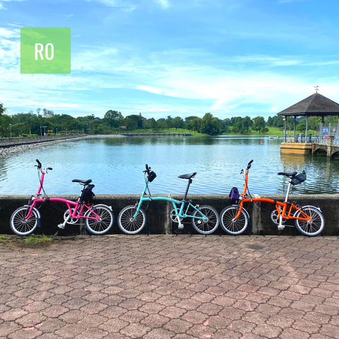 R0: Brompton Toa Payoh to Lower Peirce / Upper Peirce Reservoir