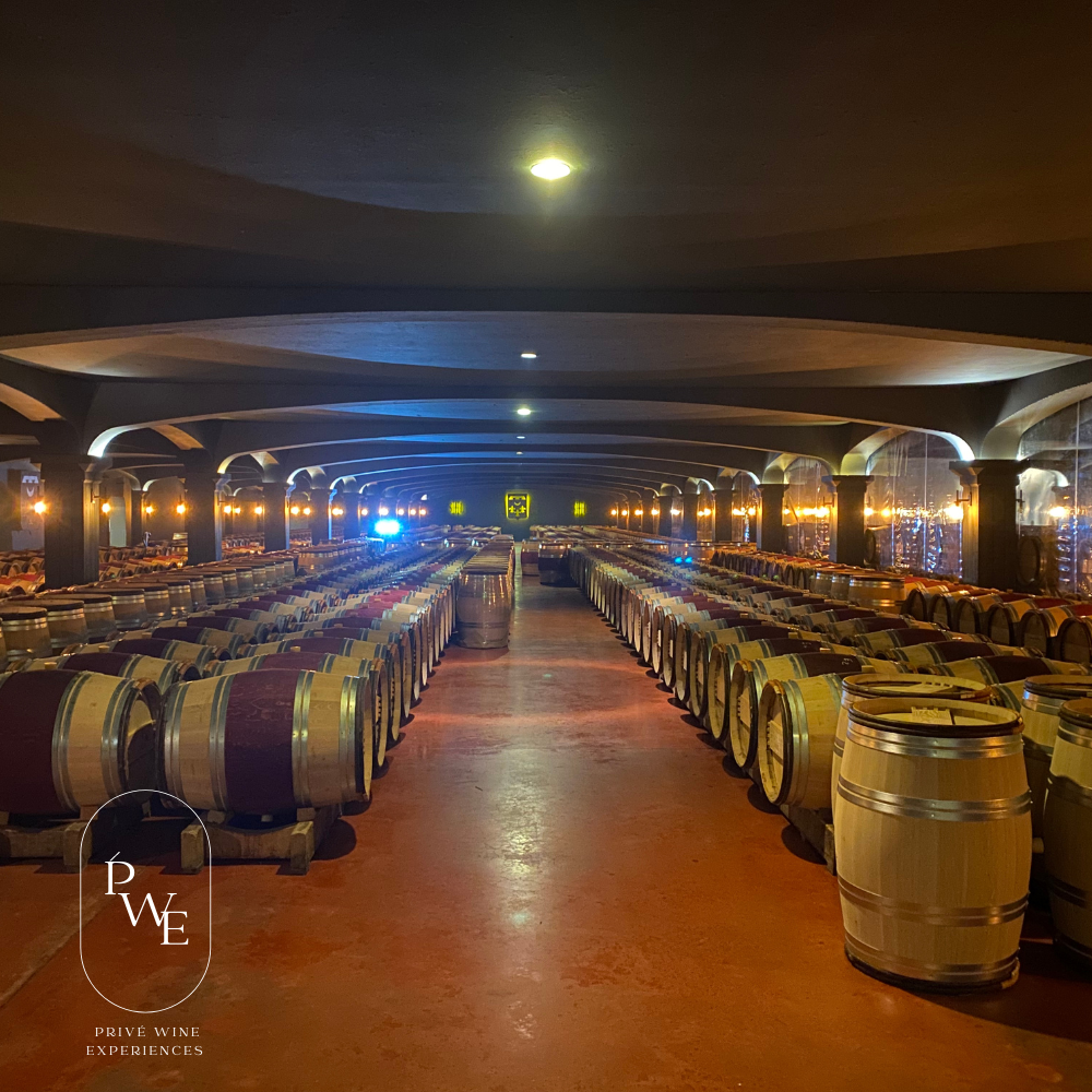 Luxury Wine & Golf Tour . Paris Burgundy & Rhone