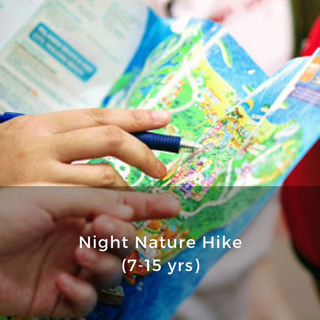 peaceful night hike in Sentosa